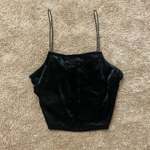 Black Velvet Crop